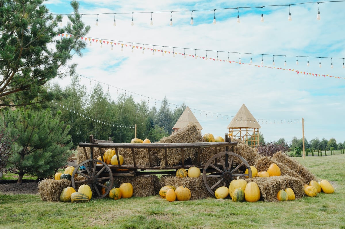 Rustic hay wagon filled with pumpkins outdoors at festival