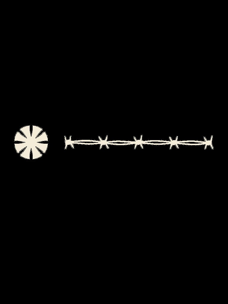 Beige decorative line divider with a radiating sun motif on left and connected geometric shapes on right